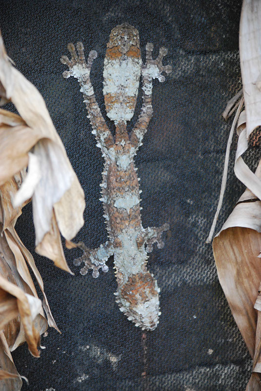 %_tempFileNameMadagaskar_280%