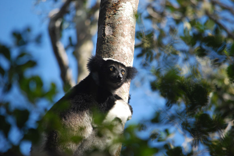 %_tempFileNameMadagaskar_283%