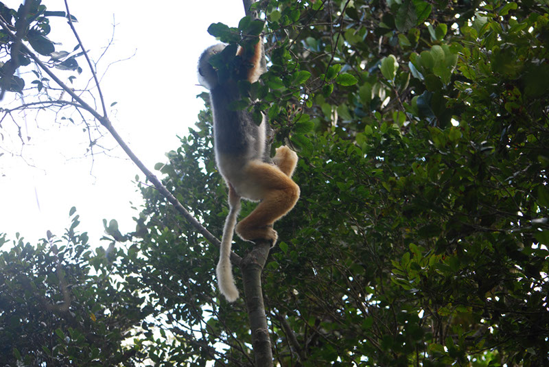 %_tempFileNameMadagaskar_286%