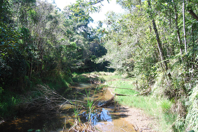 %_tempFileNameMadagaskar_288%