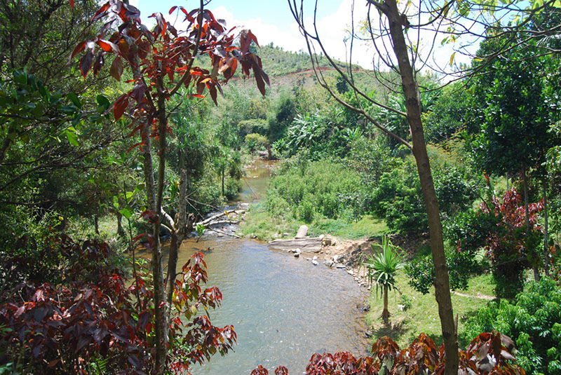 %_tempFileNameMadagaskar_289%