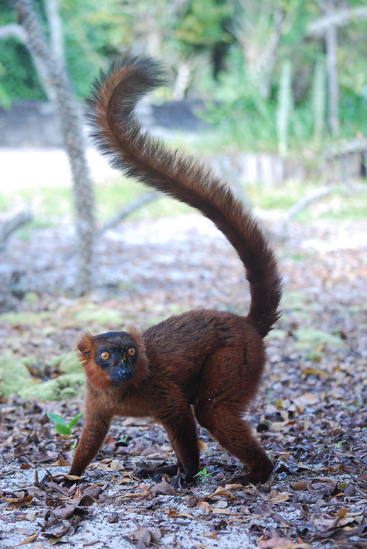 %_tempFileNameMadagaskar_300%