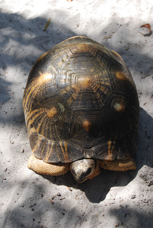 %_tempFileNameMadagaskar_302%