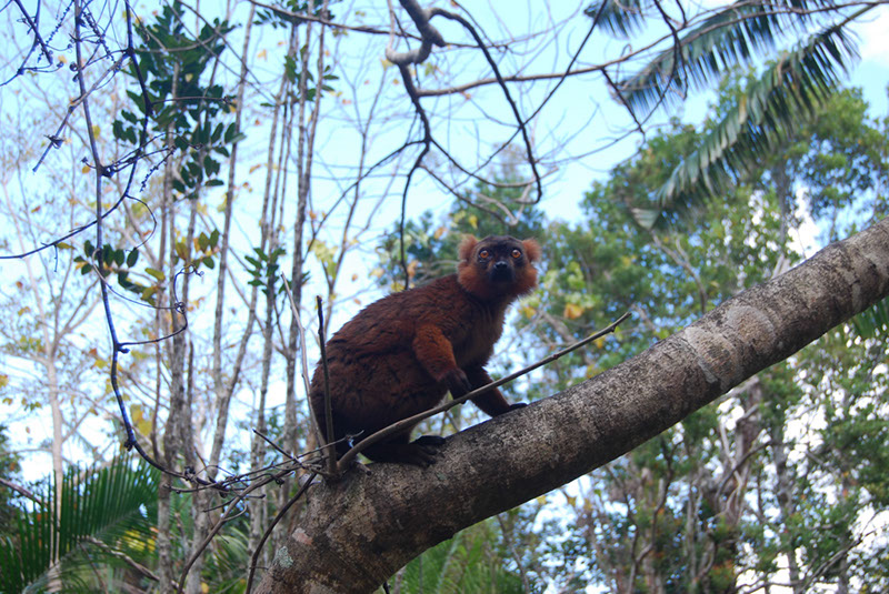 %_tempFileNameMadagaskar_304%