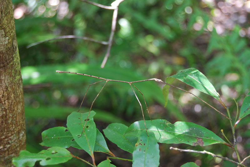 %_tempFileNameMadagaskar_305%