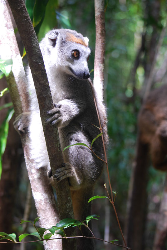 %_tempFileNameMadagaskar_306%