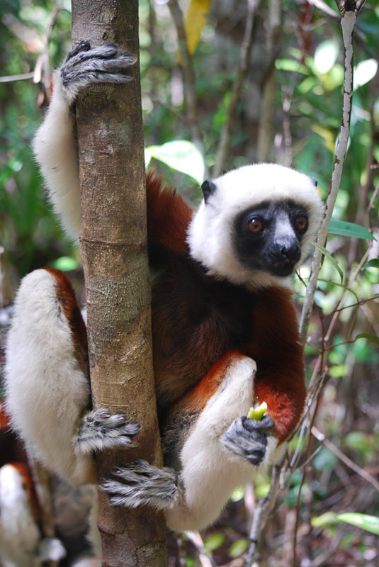 %_tempFileNameMadagaskar_307%