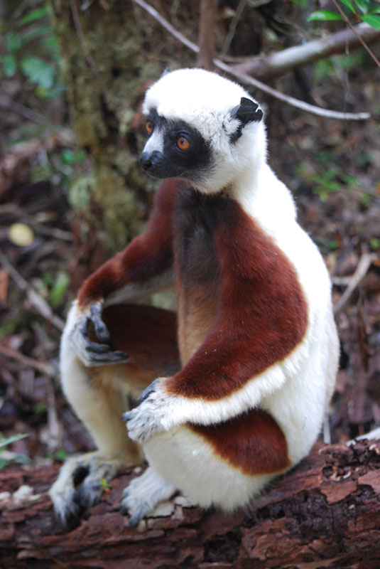 %_tempFileNameMadagaskar_308%