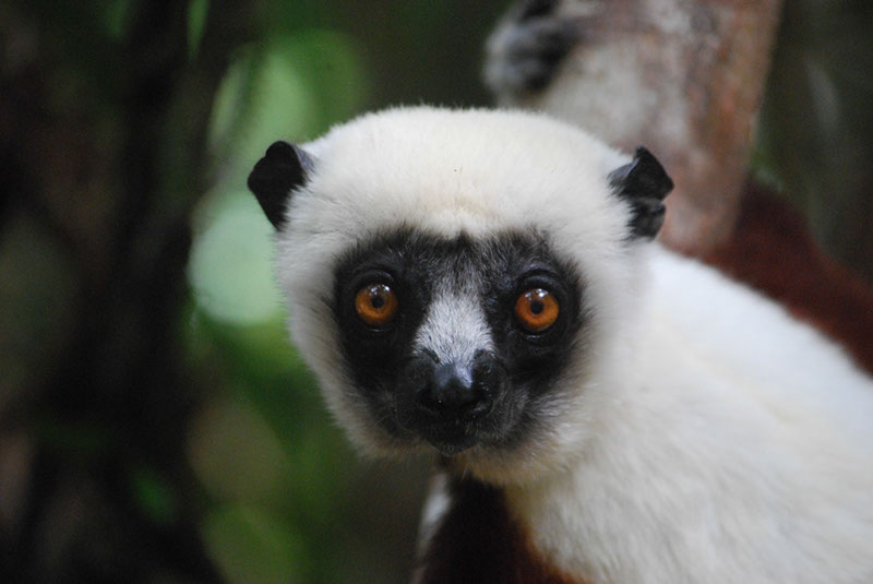 %_tempFileNameMadagaskar_309%