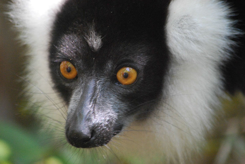 %_tempFileNameMadagaskar_310%