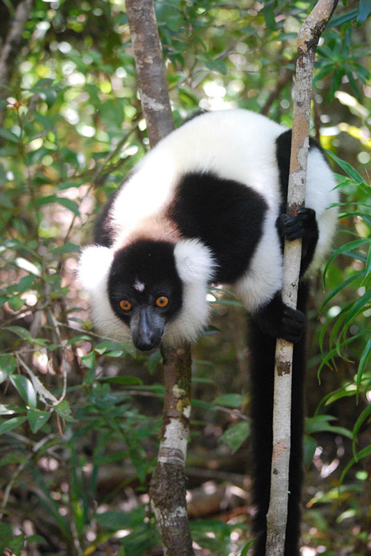 %_tempFileNameMadagaskar_311%