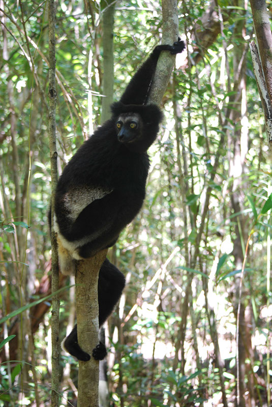 %_tempFileNameMadagaskar_313%