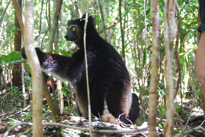 %_tempFileNameMadagaskar_314%