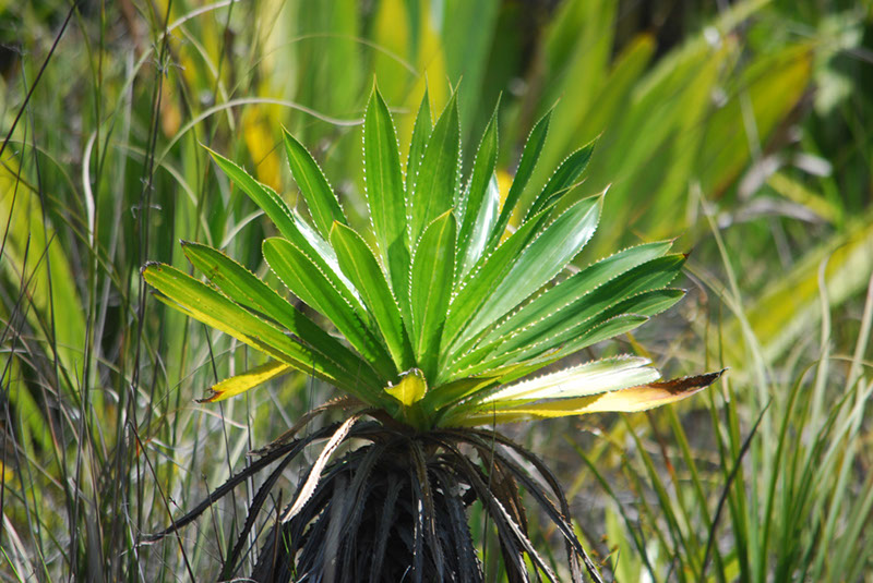 %_tempFileNameMadagaskar_317%