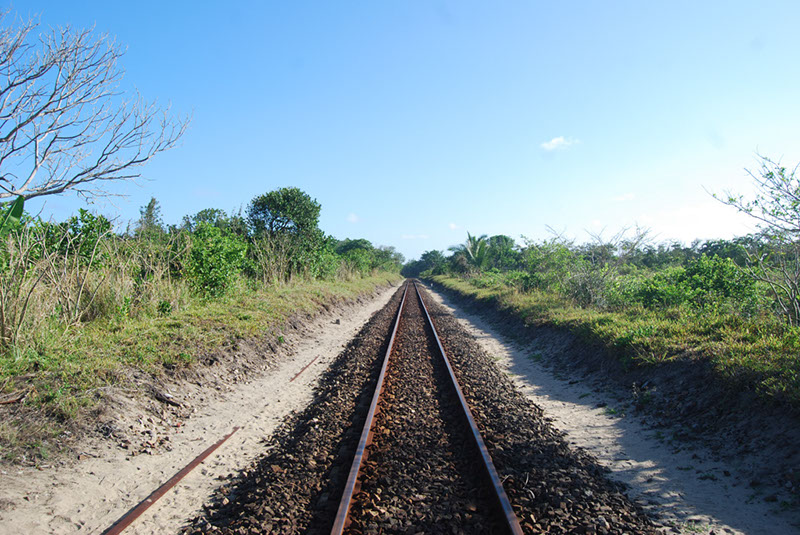 %_tempFileNameMadagaskar_318%