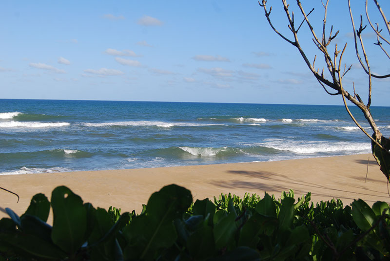 %_tempFileNameMadagaskar_319%