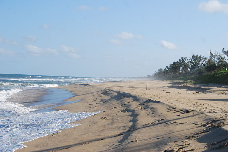 %_tempFileNameMadagaskar_320%