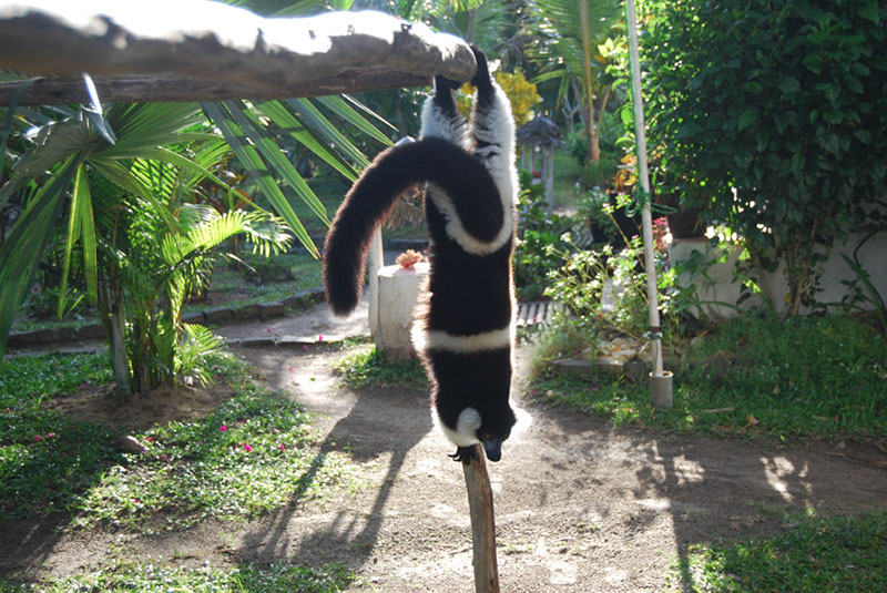 %_tempFileNameMadagaskar_333%