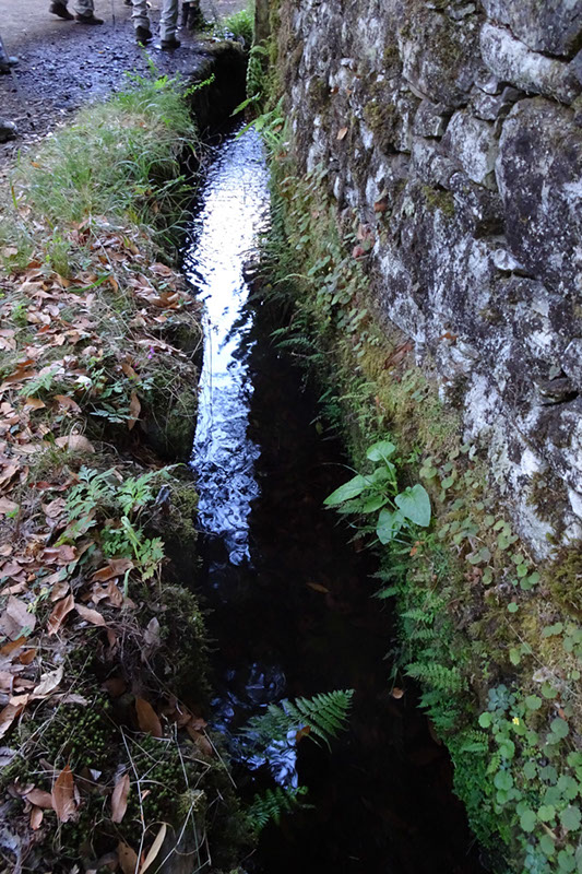 %_tempFileNameDSC00557%