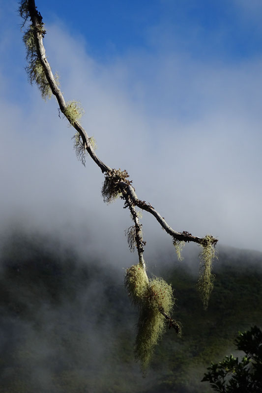 %_tempFileNameDSC00562%