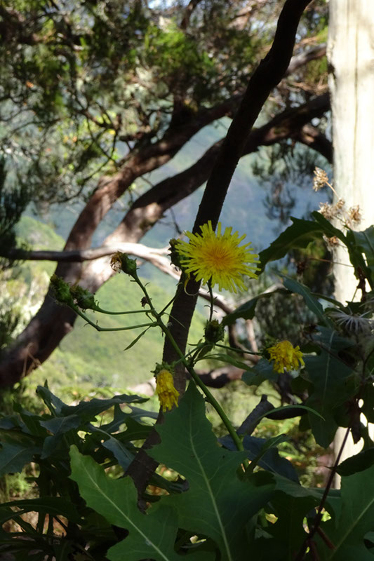 %_tempFileNameDSC00572%