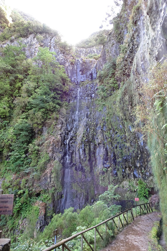 %_tempFileNameDSC00575%