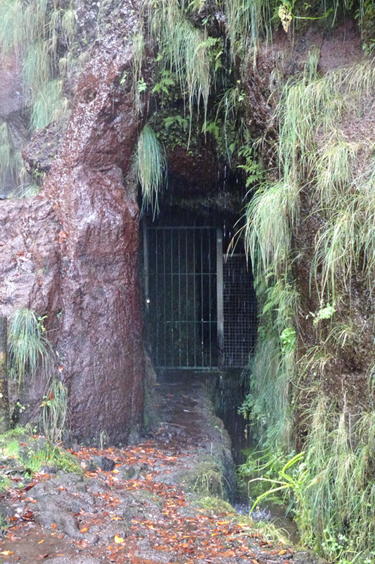 %_tempFileNameDSC00584%