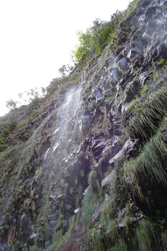 %_tempFileNameDSC00585%