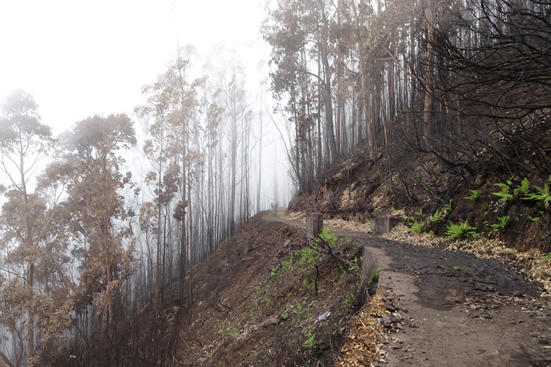 %_tempFileNameDSC00617%