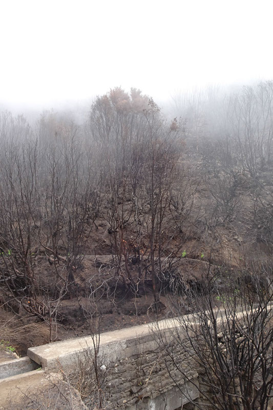 %_tempFileNameDSC00618%