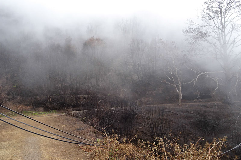 %_tempFileNameDSC00622%