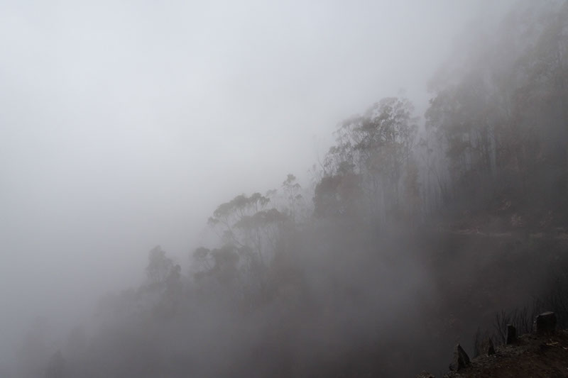 %_tempFileNameDSC00634%