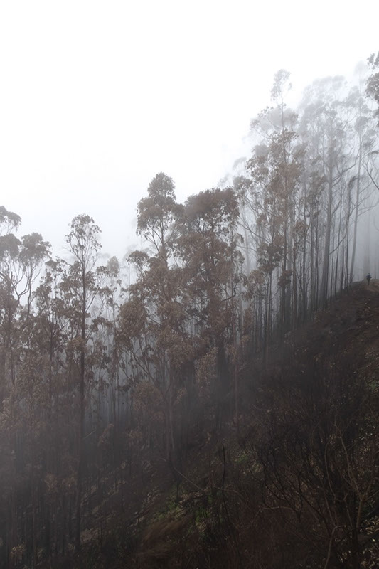 %_tempFileNameDSC00636%