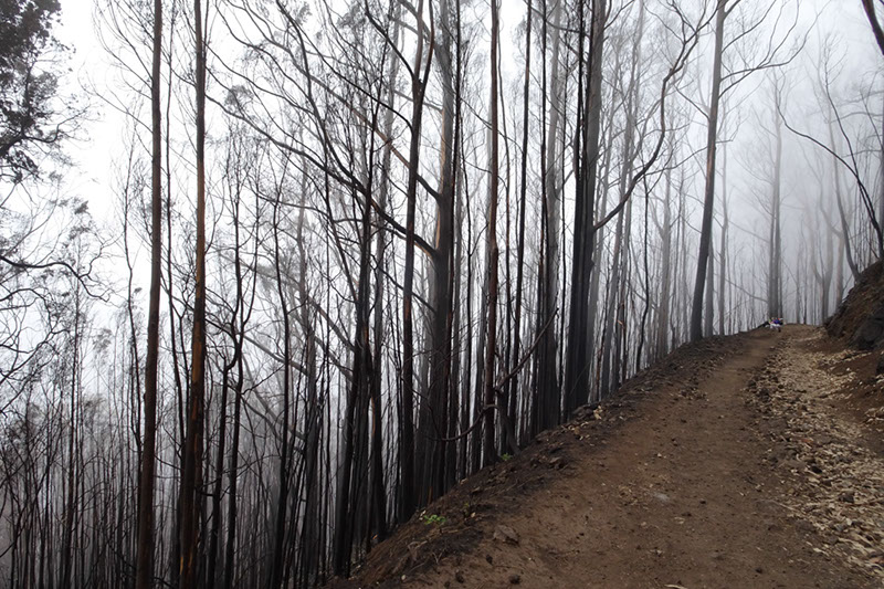 %_tempFileNameDSC00638%