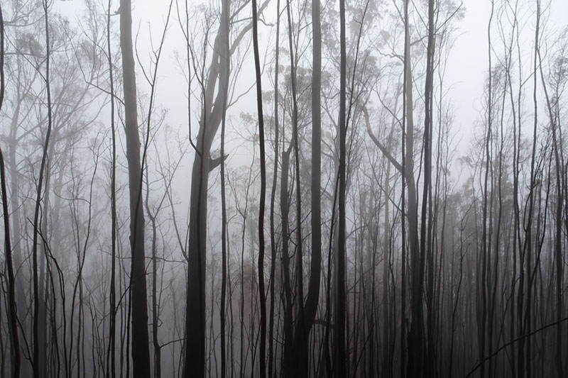 %_tempFileNameDSC00645%