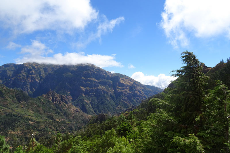 %_tempFileNameDSC00650%