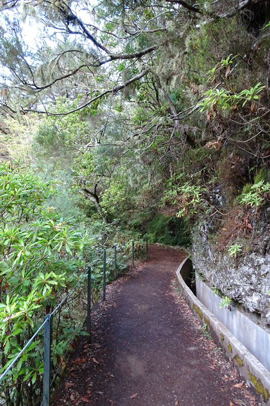 %_tempFileNameDSC00672%