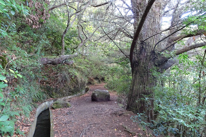 %_tempFileNameDSC00674%