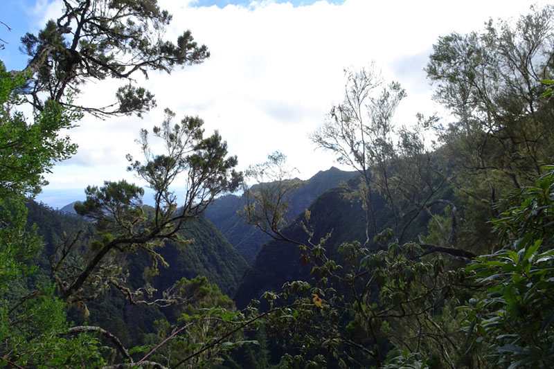 %_tempFileNameDSC00681%