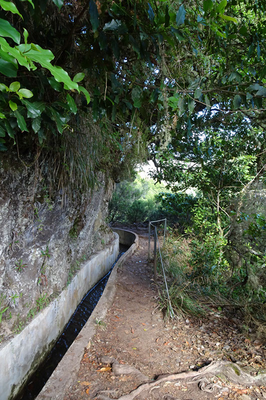 %_tempFileNameDSC00682%