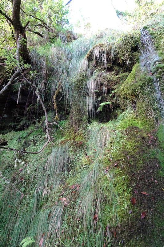 %_tempFileNameDSC00689%