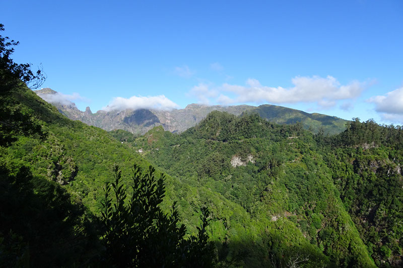 %_tempFileNameDSC00699%