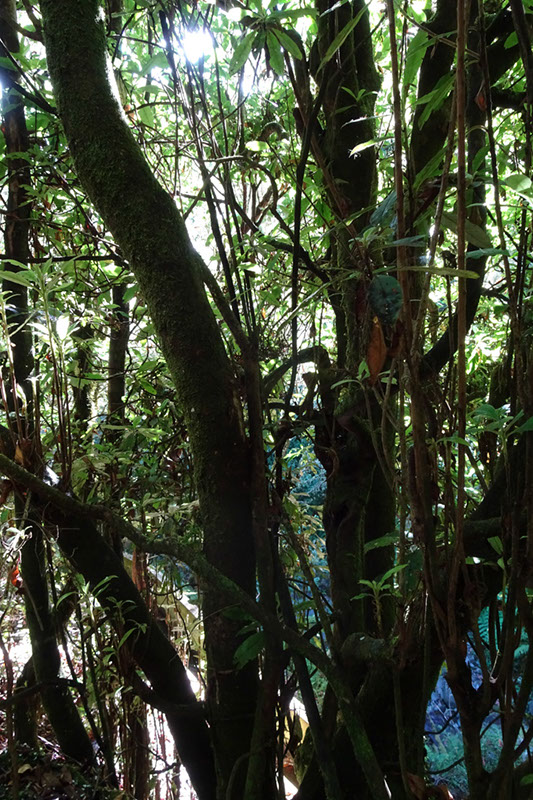 %_tempFileNameDSC00709%