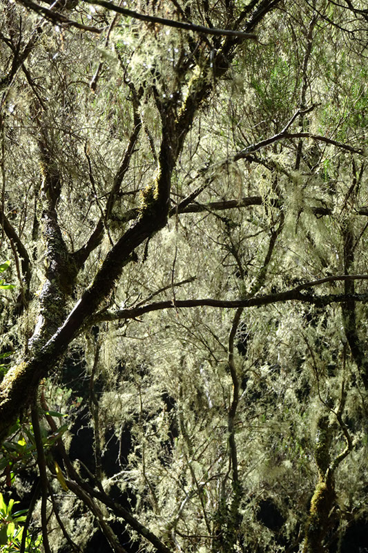 %_tempFileNameDSC00712%