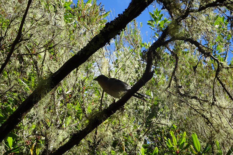 %_tempFileNameDSC00721%