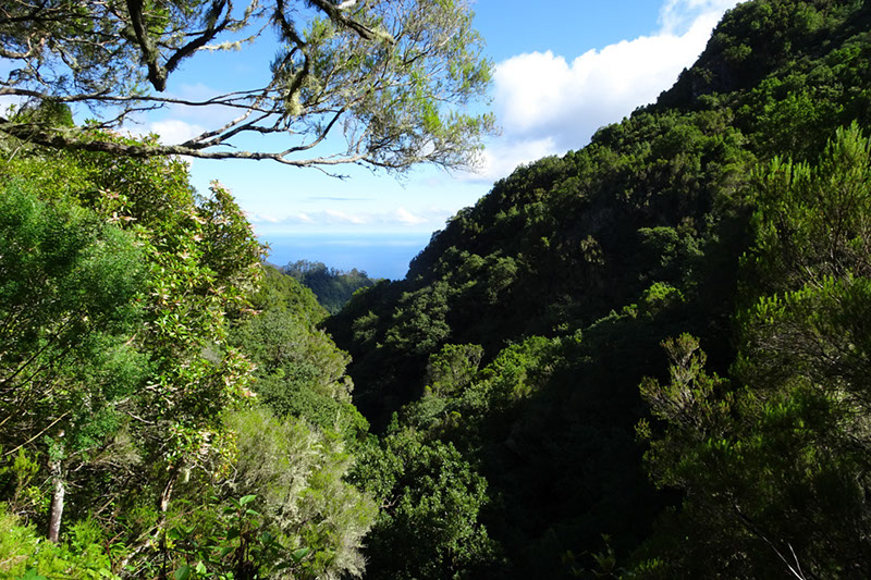 %_tempFileNameDSC00729%