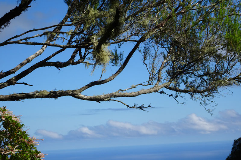 %_tempFileNameDSC00730%