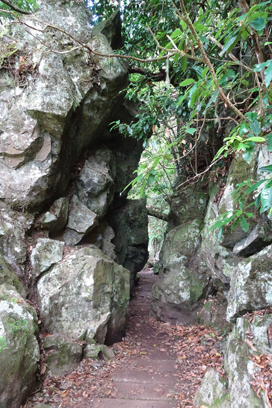 %_tempFileNameDSC00735%