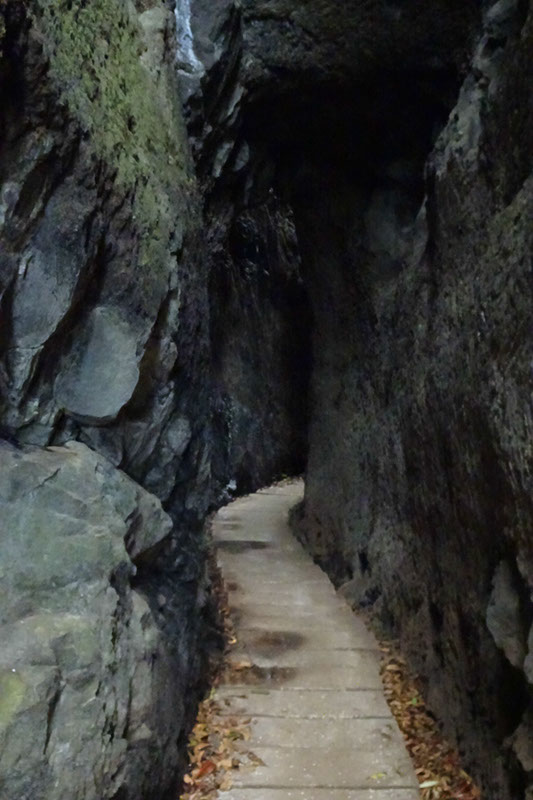 %_tempFileNameDSC00749%