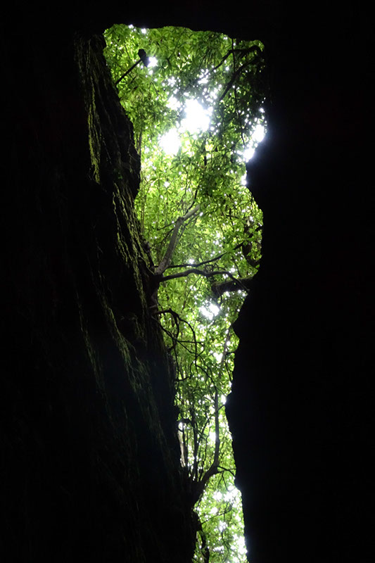 %_tempFileNameDSC00750%